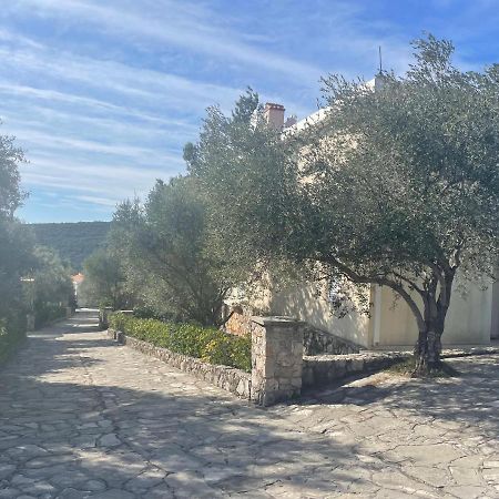 Villa Thetis Bigovo Exteriér fotografie